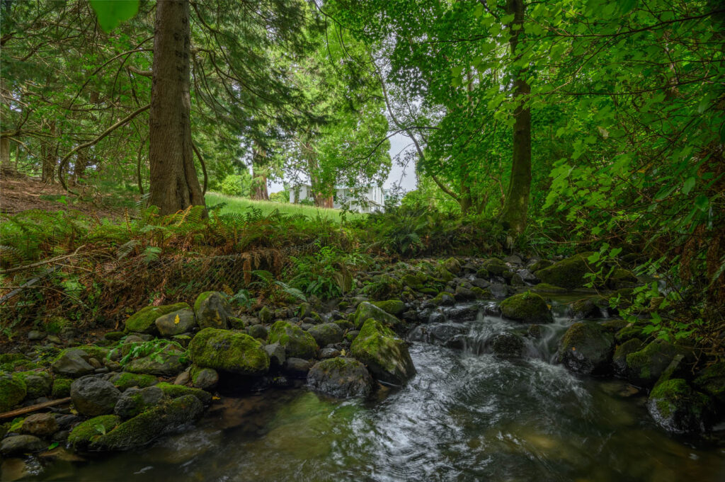 Ashburn Clinic serene grounds
